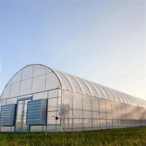 Plastic Film Tunnel Greenhouse Kit Width 6m 8m 9m For Growing Vegetables Flowers Fruits