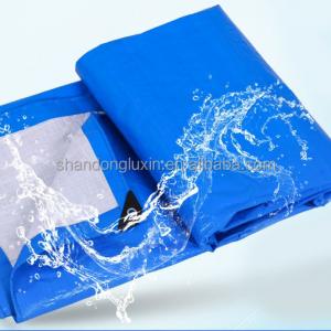 Outdoor Cover and Camping PE Tarpaulin Sheet for Truck/Car/Boat Covers in Blue/White
