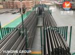 SA688 TP304  Stainless Steel U Bend Tube Applied for Heat Exchanger