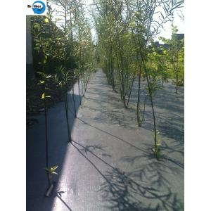 China Woven Anti Mat Weed Control Landscape Fabric Ground Cover Plastic Mulch Film wholesale