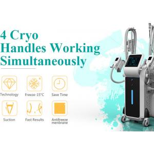 China top manufacturer Beijing Nubway whole body Slimming fat freeze cryolipolysis machine for sale