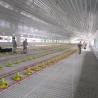 China High Quality Poultry Feeding and Drinking System for Broilers wholesale
