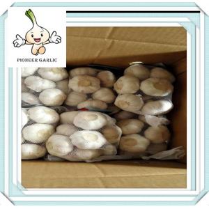 China Agriculture Products Red Garlic Natural Vegetable Wholesale China Garlic In Bulb