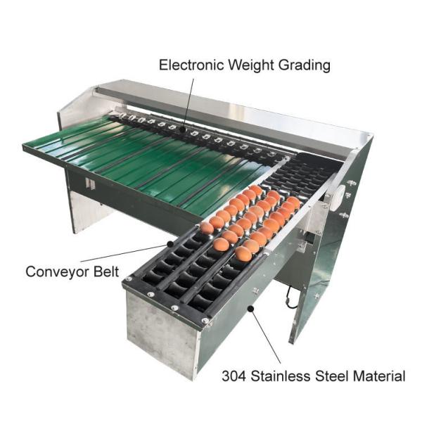 Automatic Egg Sort Grade Weighing And Sorting Egg Machine Egg Grading Process Line Scale Grader Mini Sorter Egg Machine Commercial Egg Sorting Machine Automatic Egg Grading and Packing System