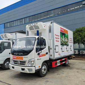 China Foton 4x2 day old baby chicken transport truck Plastic frp day old chicken truck wholesale