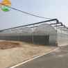 China Customizable Size Multi-Span Agricultural Invernadero with Advanced Hydroponic System wholesale