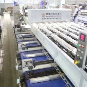 China 304 Stainless Steel Deep-learning Chestnut Sorting Machine: Robust, Durable, Continuous Learning on sale