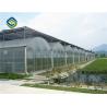 1.2 G/m3 Mult Span Polycarbonate Sheet Greenhouse