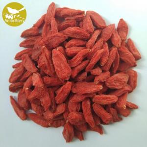 China BIO Natural Organic Wolfberry Chinese Medlar BCS certificated Goji Berries Gochi GOUQIZI supplier