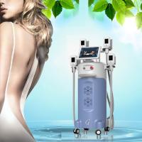 China Same Zeltiq Technology fat freezing cryolipolisis slimming machine with 4 handles on sale