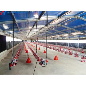 China Convenient Assembly Automatic Chicken Feeder System , Broiler  Chicken Drinking System wholesale