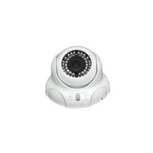 China 2.0 Megapixel Vandalproof Low Lux Day & Night Indoor Whelk CCTV IP Cameras DR-IP5N302FXHB supplier