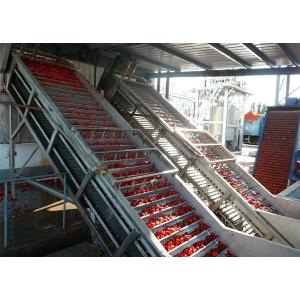 Strawberry Blueberry  Berry Processing Equipment / Juice Production Machine