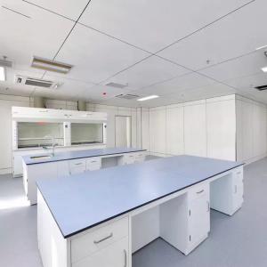 Pharmaceutical Chemistry Laboratory Table Phenolic Resin Top School Lab Furniture