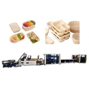 Container Plastic Food Container Manufacturing Machine Takeaway Packaging 55kw