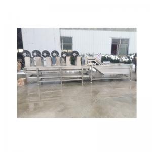 Vegetable washer machine fruit and vegetable bubble cleaning machine fruit washing machine vegetable dryer