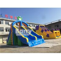 China PVC Tarpaulin Double Lanes Inflatable Water Slides Frog For Swimming Pool on sale