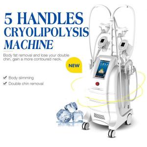 China 5 Handles Cryolipolysis Fat Freezing Machine Body Sculpting Machine For Fat Reduction supplier