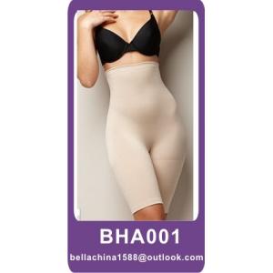 Sensual Shapes Hi-waist Brief  miraclesuit high waist brief nylon panties