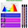 China 5730SMD Red Blue LED Growth Lamp With Timer Adjustable Gooseneck wholesale