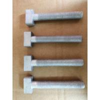 China Customized T Head Bolt Material Grade 4.8 Hot Dipped Galvanized on sale