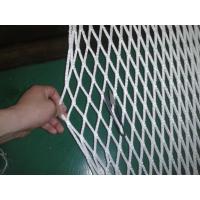 China PP Safety Fencing Multi Sport Nets , Ice-Hockey Net 100gsm - 500gsm on sale