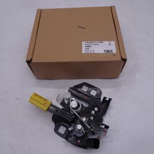China FT4A16700AC Original Ford car front face cover lock Focus kit supplier