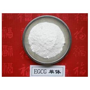 100% Natural Green Tea Extract Polyphenols and EGCG 98% powder