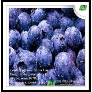 factory supply pure natural organic bilberry extract,anthocyanidins 25%