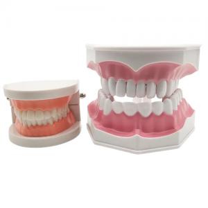 China Laboratory Dentures Dental Filled Dental Implants Complete Restorative Overlays Denture supplier