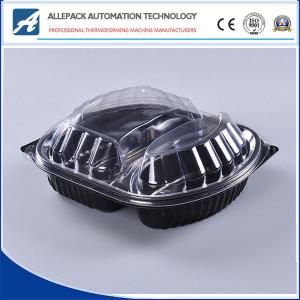 China OEM Disposable Plastic Containers , Disposable Clear Food Box Plastic Box supplier