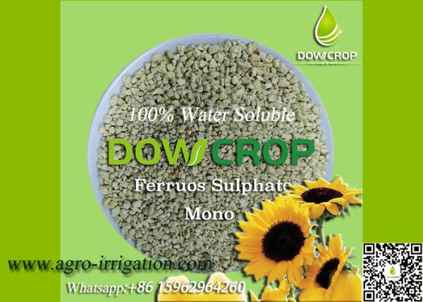 CULTURAS DE ALTA CALIDAD 100% soluble en agua mono sulfato ferroso 30% verde claro granulado micronutrientes fertilizante