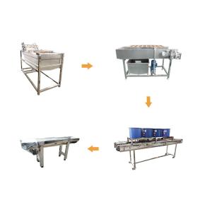 China Hot selling Manufactory Wholesale Palm Fruit Seed Cleaning Machine by Huafood supplier