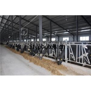 China Building Steel Structure Sheds for Caw /Chicken/ Goats With C Beams wholesale