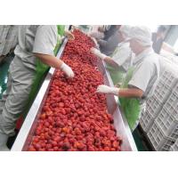 China 380V Berry Fruit Jam Processing Machinery 20T/H ISO9001 Certificate on sale