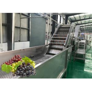 Water Saving Fruit Juice Processing Equipment Fresh Grape Washing Machine Environment Friendly