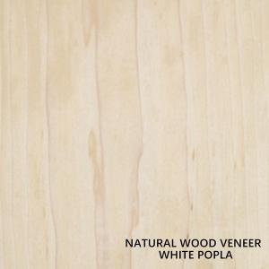 China Natural White Poplar Wood Veneer Whole Piece Size 2440*1220mm Thickness 0.4mm Low Price For Furniture Project Decoration supplier