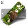 China Birds Design 3D Lenticular Bookmark With Tassels Environmental 15.6X5.3cm wholesale