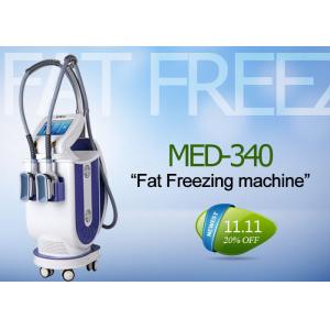 China Safety Cryolipolysis Fat Freeze Slimming Machine For Cellulite Reduction / Weight Loss supplier