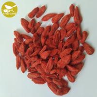 China Dried chinese medlar and origin ningxia goji berry Organic Natural Chinese wolfberry medlar High Quality on sale