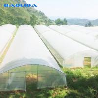 China Vegetable Single Span Greenhouse Polycarbonate Sheet Covering on sale