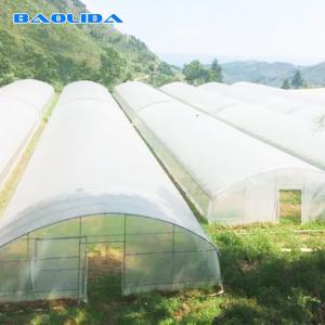 Vegetable Single Span Greenhouse Polycarbonate Sheet Covering