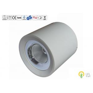 China D193*H193mm Ceiling Mounted LED Lights , 40W 4800lm Surface Mount LED Lights supplier