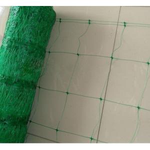 China HDPE Plant Support Netting supplier