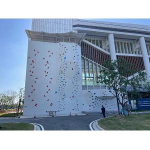 China Theme Park Speed Climbing Wall Outdoor Customized Wall Climbing For Adults supplier