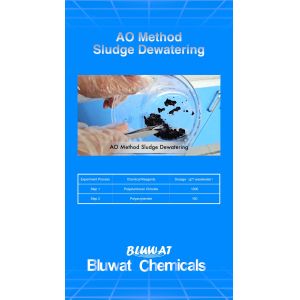 China Anoxic Oxic AO Method Sludge Dewatering Anionic Polyacrylamide wholesale