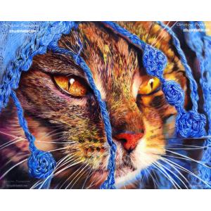 China Square Diamond painting Craft Embroidery Diamond Mosaic embroidery Cross Stitch lovely cat supplier