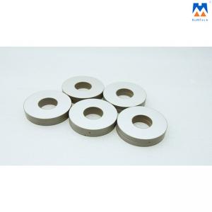 China Piezoelectric Ceramic Ring for 20KHz Ultrasonic Transducer supplier
