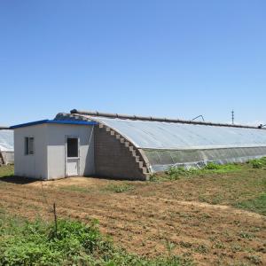 Tomato Passive Solar Greenhouse With Electric Roll Up Ventilation