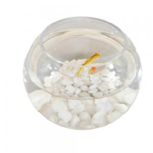 fish bowl glass,circle bowl fish glass,clear fish bowl,clear glass decorative bowls